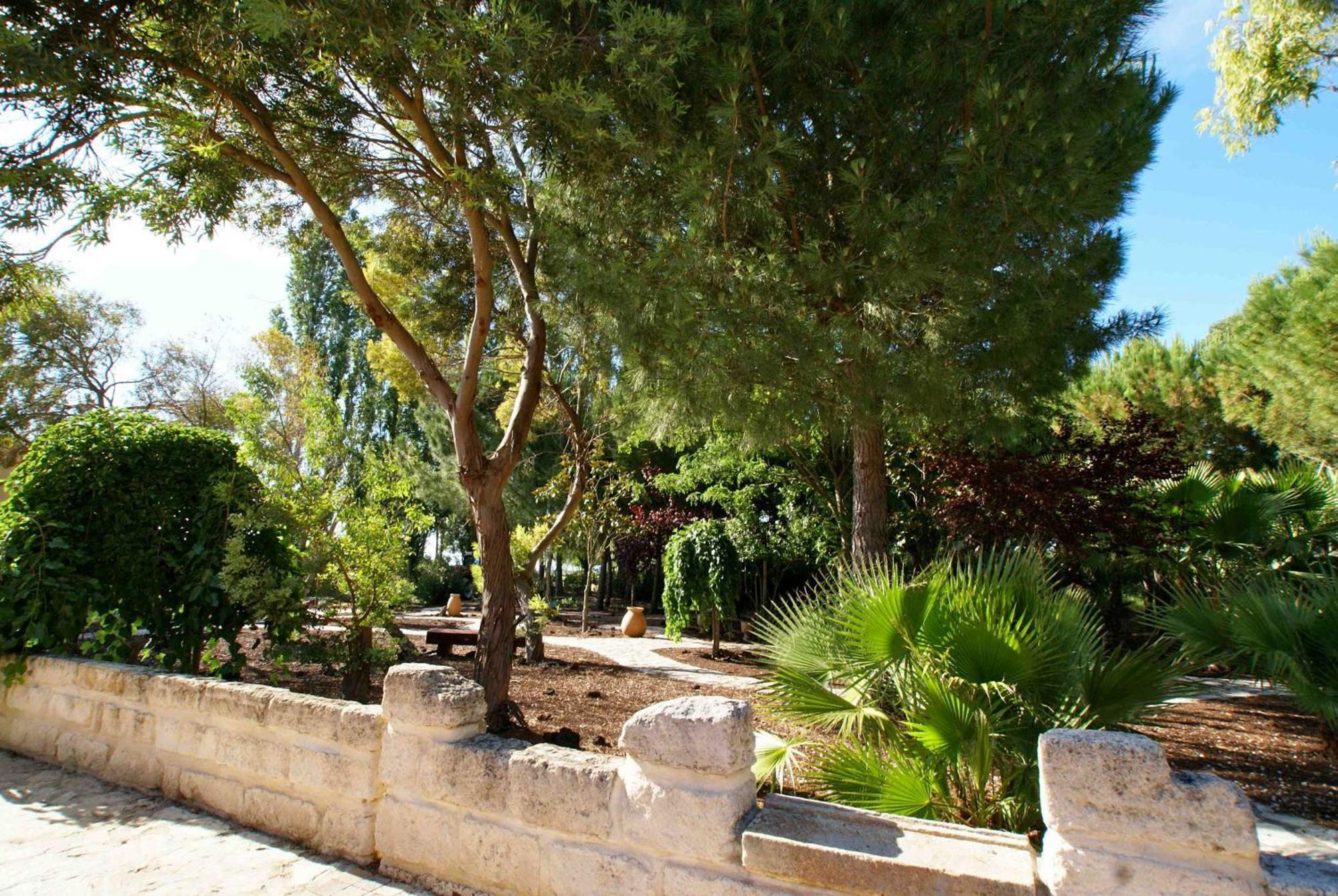 L'Oliveraie De Paul Aigues-Mortes Buitenkant foto